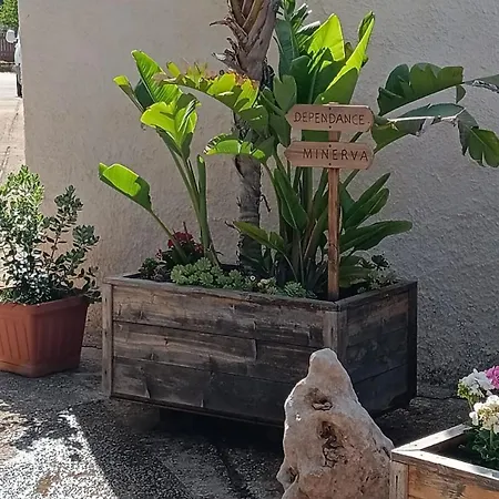 Ferienwohnung 